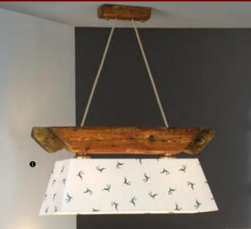 Balken Starnberg, Schirm SPL70HG