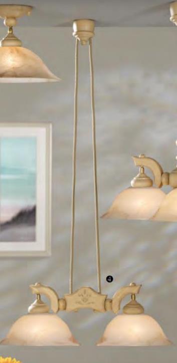 Balken Wasserburg, Schirm SG604H