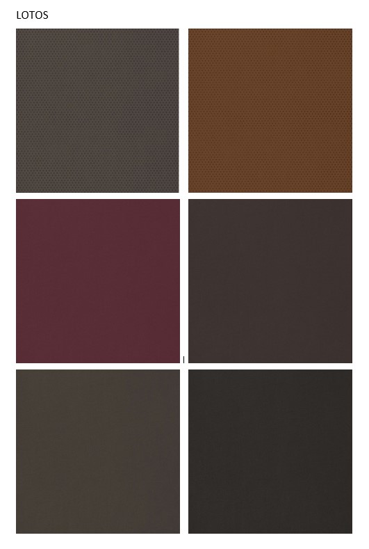 Deckblatt_Lotos.JPG