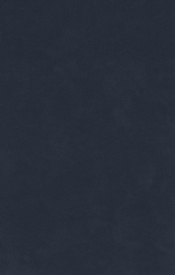 Stoff DUST 49 dark blue Schösswender Essplätze / Massivline / AMBI-E