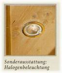 Halogenbeleuchtung 1 Strahler