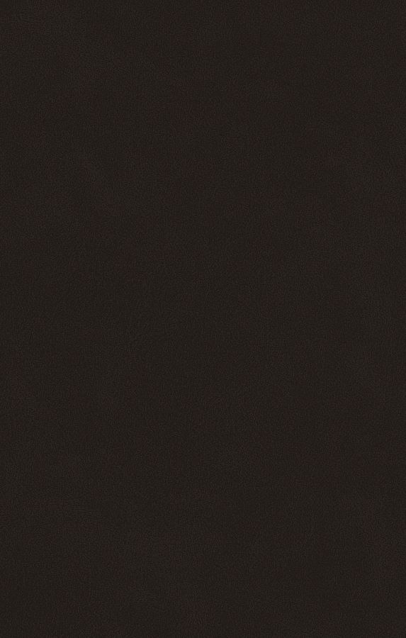 Stoff DUST 16 dark brown Schösswender Essplätze / Massivline / AMBI-E