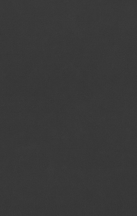 Stoff DUST 516 charcoal Schösswender Essplätze / Massivline / AMBI-E