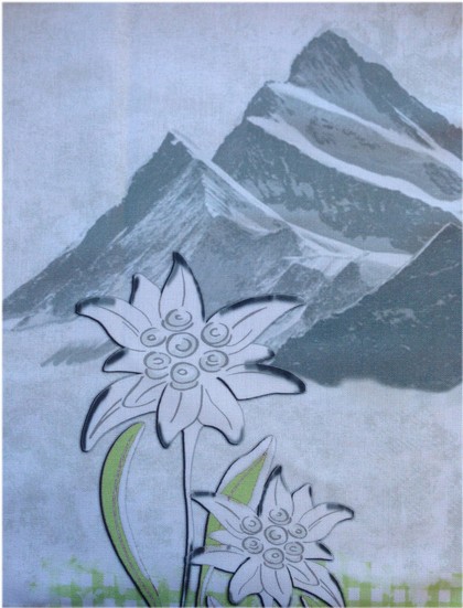 Vorhangstoff Tirol Living Eisenhut-16